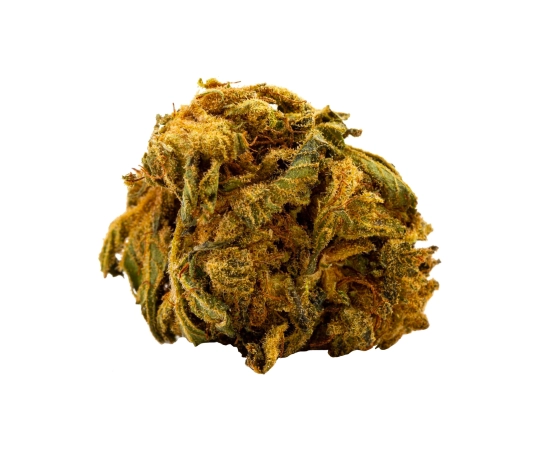 Chocolope Kush Green House 14%
