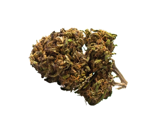 Harlequin Outdoor 12%