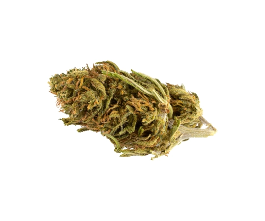 Critical Outdoor 15%