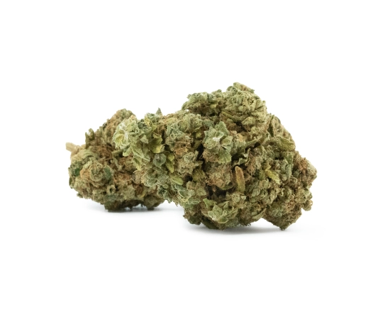 Rainbow Burst Indoor 15%