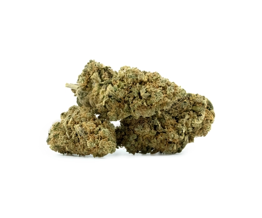 Chocolate Chip Cookie Indoor 16%