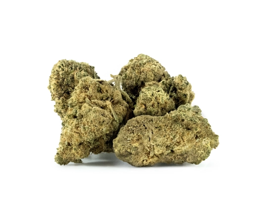 Harlequin Indoor 12%