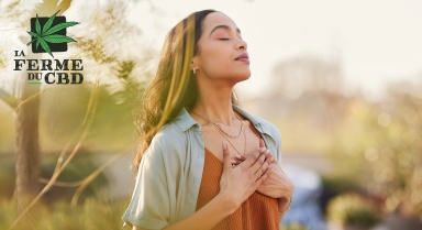 Tout savoir sur l’effet anti-inflammatoire du CBD