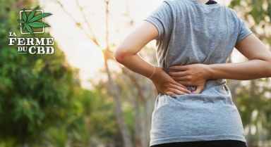 CBD et fibromyalgie