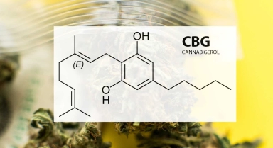 What is CBG?