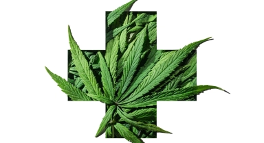 Les bienfaits du CBD