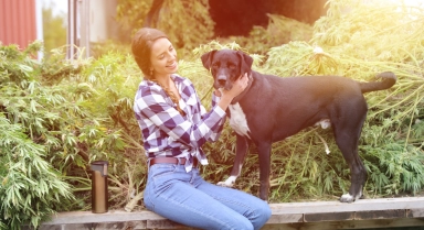 CBD et animaux : peut-on donner du CBD à son animal de compagnie ?