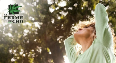 Découvrez le CBD : votre nouvel allié contre l'anxiété