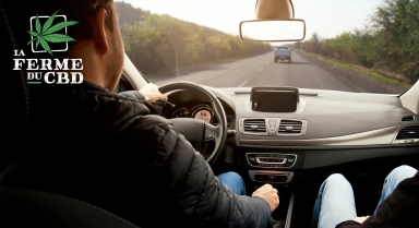 CBD et conduite: peut-on être sanctionné pour usage de stupéfiants ?