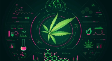 CBD und Wechselwirkungen mit Medikamenten