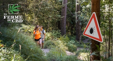 Le CBD peut-il aider à soulager la maladie de Lyme ?