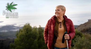 Le CBD : une alternative pour soulager la sclérose en plaques ?