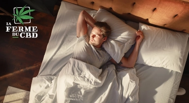 Le CBD pour favoriser le sommeil ?