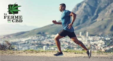CBD et sport font-ils bon ménage ?