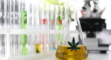 CBD et test salivaire : que risquez-vous vraiment ?