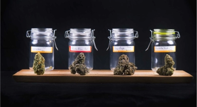 Comment conserver son CBD ?