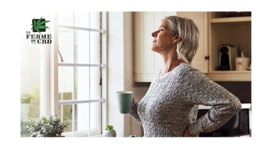CBD et mal de dos