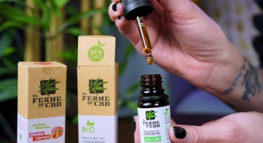 Le CBD est-il efficace et sans danger contre l’épilepsie ?