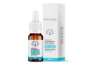 Huile CBD pour chien