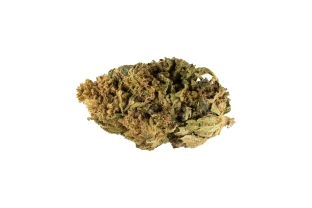 Charlotte's Web Outdoor 13%