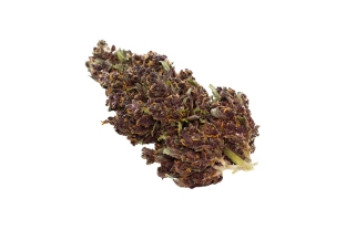 Purple Haze Outdoor 12%