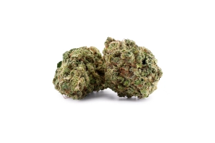 Mint Kush Indoor 13%