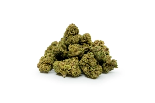 Trim Green House 15%