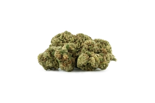 Gorilla Glue Indoor 15%