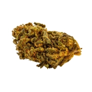 Master Kush Outdoor 15%