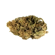 Charlotte's Web Outdoor 13%