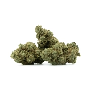 Pistachio Indoor 17%